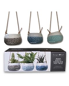 Burgon & Ball Baby Dotty Trio Pots